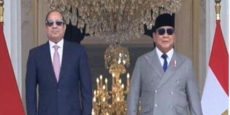 الرئيس السيسى: مصر وإندونيسيا تعملان على رفع حجم التبادل التجاري لـ5 مليارات دولار بحلول 2030 - تواصل نيوز