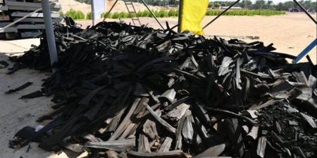 من جريد النخيل إلى الوقود والأسمدة، مصنع جديد بالخارجة يحول المخلفات إلى ثروة - تواصل نيوز