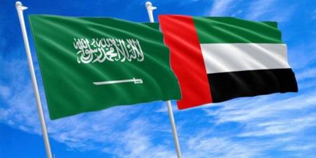 الإمارات: الاعتداء على مطار الملك خالد بالرياض انتهاك صارخ لسيادة السعودية - تواصل نيوز
