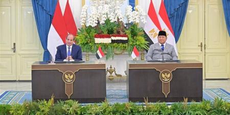 مصر وإندونيسيا تؤكدان توسيع التعاون في التعليم والثقافة والشباب وإطلاق شراكة جديدة لبناء القدرات - تواصل نيوز
