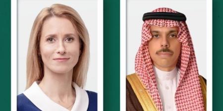 وزير الخارجية يناقش التطورات الإقليمية مع الممثلة العليا للاتحاد الأوروبي - تواصل نيوز