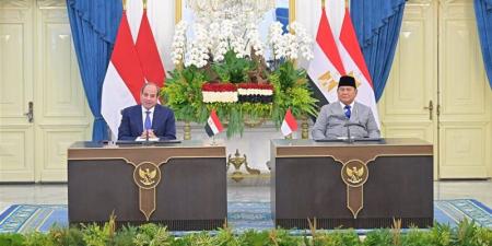 مصر وإندونيسيا تشددان على مبدأ عدم الإضرار في إدارة المجاري المائية العابرة للحدود - تواصل نيوز