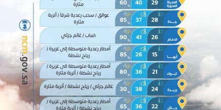 من 25 إلى 41 مئوية.. درجات الحرارة العظمى على بعض مدن المملكة - تواصل نيوز