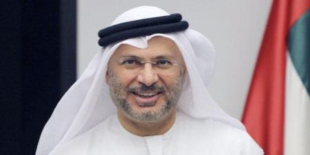 مستشار الرئيس الإماراتي: إحياء العمل الخليجي المشترك في الأمن والدفاع - تواصل نيوز