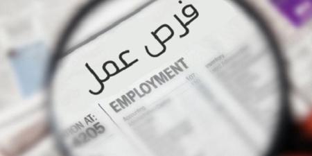 وظائف محافظة المنيا 2026، تفاصيل فرص العمل الجديدة - تواصل نيوز