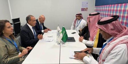 مصر تؤكد دعمها للسعودية في مواجهة التحديات الأمنية.. ومباحثات لتعزيز التعاون التنموي - تواصل نيوز