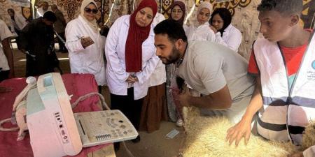 «مستقبل وطن» ينظم قافلة بيطرية مجانية بأبو مناع غرب بالتعاون مع «الطب البيطري» وجامعة قنا - تواصل نيوز