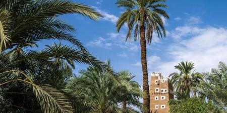 من قمم الجبال إلى السهول الخصبة.. كنوز بيئية فريدة تزين نجران - تواصل نيوز