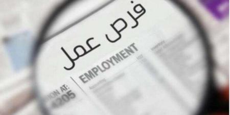 مرتبات تصل 20 ألف جنيه.. «العمل» تعلن توفير 1095 وظيفة جديدة | التخصصات والشروط - تواصل نيوز
