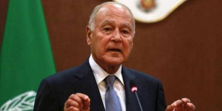 أبو الغيط: السادات قبل تحدي أكتوبر وانتصر.. والسيسي قبل تحدي 30 يونيو ومصر كسبت المستقبل - تواصل نيوز