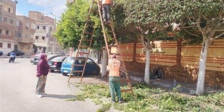 استعدادًا للاحتفال بعيد الإسماعيلية، جهاز التطوير يواصل أعمال رفع الكفاءة بعدد من المواقع - تواصل نيوز