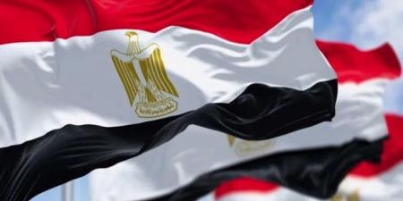مصر تؤكد ضرورة إقامة دولة فلسطينية مستقلة على خطوط 4 يونيو 1967 - تواصل نيوز