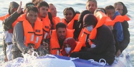 المنظمة الدولية للهجرة: تراجع وصول المهاجرين من 4 دول بغرب أفريقيا إلى أوروبا بحراً بنسبة 59% - تواصل نيوز