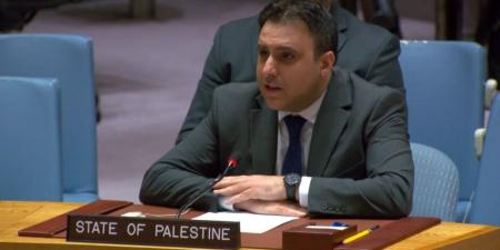 في مجلس الأمن.. فلسطين تطالب بإنهاء الاحتلال الإسرائيلي لأراضيها - تواصل نيوز