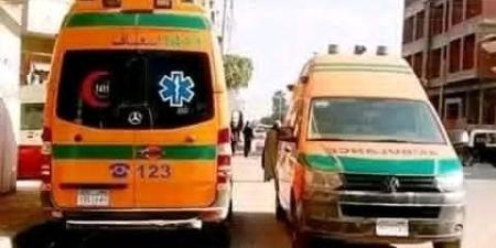 إصابة 4 عمال في انقلاب سيارة ربع نقل محملة بالموز في نقادة بقنا - تواصل نيوز