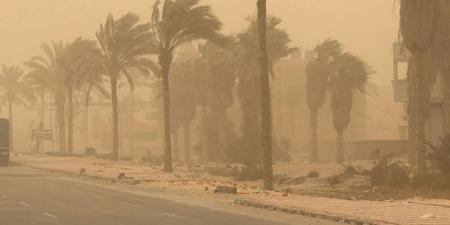 الأرصاد الجوية: انخفاض بالحرارة وأمطار متفاوتة الشدة والصغرى بالقاهرة 19 درجة - تواصل نيوز