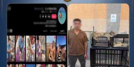 ضبط شخص قام بتربية الحيوانات والزواحف الخطرة أعلى عقار محل سكنه - تواصل نيوز