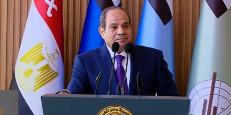 الرئيس السيسي: الحفاظ على الدولة الوطنية واستقرارها يتطلب مؤسسات قوية - تواصل نيوز