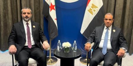 وزير الخارجية يلتقي نظيره السوري على هامش اجتماعات مجلس وزراء خارجية منظمة التعاون الإسلامي - تواصل نيوز