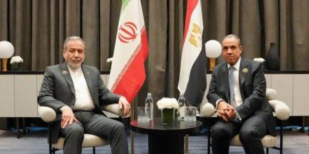 وزير الخارجية المصري: ضرورة احترام أمن دول الخليج ووقف الأعمال العدائية ضد السعودية - تواصل نيوز
