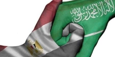 نائب: أمن الخليج ركيزة استقرار اقتصاد العرب ورسائل الرئيس تؤكد ثوابت موقف مصر - تواصل نيوز
