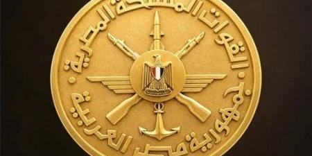 مجلس الدفاع الوطني المصري يوافق على إرسال قوات مصرية إلى السعودية - تواصل نيوز