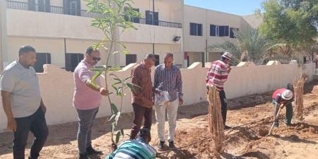 مبادرة «اطلب شجرة» تفتح أبواب التشجير أمام مواطني الداخلة بالوادي الجديد - تواصل نيوز
