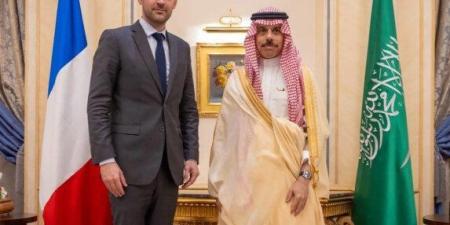 وزيرا الخارجية السعودي والفرنسي يبحثان تطورات الأوضاع الإقليمية وتعزيز علاقات البلدين - تواصل نيوز