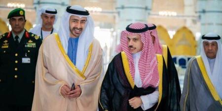 السعودية والإمارات تبحثان الاعتداءات الحوثية على المملكة واحتواء التوتر الإقليمي - تواصل نيوز