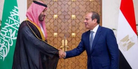 من التعهد الرئاسي إلى تأجيل التصويت.. 4 محطات ترسم مسار الدعم المصري للسعودية - تواصل نيوز