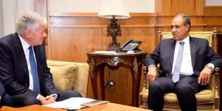 وزير خارجية مصر يناقش مع المبعوث الفرنسي سبل دعم المؤسسات الفلسطينية - تواصل نيوز