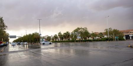 طقس الأربعاء.. أمطار وسحب رعدية ورياح نشطة على أجزاء من المناطق - تواصل نيوز
