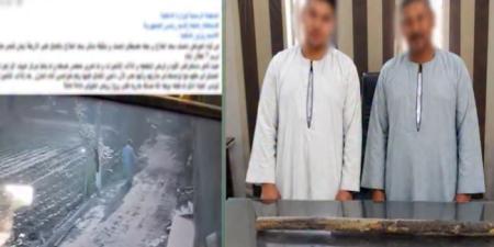 بسبب خلافات الجيرة.. كشف ملابسات فيديو استغاثة سيدة من بلطجة عاطلين بالمنوفية - تواصل نيوز