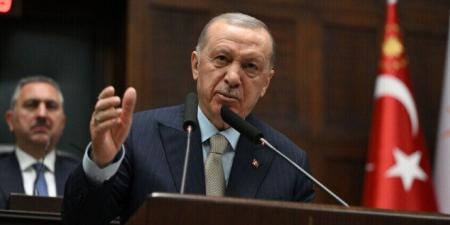 أردوغان: سأزور دمشق قريبًا وموعد الزيارة لم يتحدد بعد - تواصل نيوز