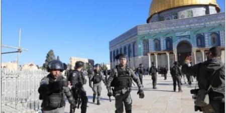 86 مستوطنًا يقتحمون المسجد الأقصى بحماية الاحتلال.. ماذا يحدث؟ - تواصل نيوز