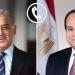 الرئيس السيسي يتلقى اتصالا هاتفيا من رئيس الوزراء الباكستاني للتهنئة بعيد الأضحى - تواصل نيوز