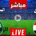 شاهد الآن: المنتخب السعودي يواجه العراق في مباراة مصيرية! - تواصل نيوز