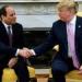 الهباش: مصر والرئيس السيسي لعب دور محوري في التوصل إلى اتفاق شرم الشيخ للسلام - تواصل نيوز