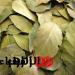هل تعرف هذه العشبة السحرية لطرد الجن والشياطين في ثوانٍ؟ - تواصل نيوز