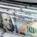 استقرار سعر الدولار مقابل الجنيه المصري مع بداية تعاملات اليوم السبت - تواصل نيوز