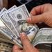 سعر الدولار مقابل الجنيه المصري بمكاتب الصرافة في ختام التعاملات اليوم - تواصل نيوز