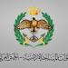 الجيش الأردني يعلن اعتراض وإسقاط خمسة صواريخ أطلقت من إيران - تواصل نيوز