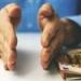 5 أسرار ذهبية لإدارة دخلك بذكاء في زمن الغلاء - تواصل نيوز
