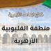 أسماء أوائل الشهادتين الابتدائية والإعدادية الأزهرية في القليوبية - تواصل نيوز