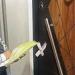 بدبلوم وانتحلت صفة طبيب .. تفاصيل وقوع منتحلة و3 صيادلة بمراكز تجميل مخالفة في ملوي بالمنيا - تواصل نيوز
