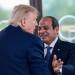 مدير المخابرات المركزية الأمريكية ينقل تحيات «ترامب» إلى الرئيس السيسي.. ماذا قال؟ - تواصل نيوز