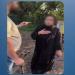 نزاع على أرض زراعية بالميراث، الأمن يكشف تفاصيل فيديو «البلطجة» بالمنوفية - تواصل نيوز