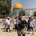 محافظة القدس: 686 مستوطنا يقتحمون المسجد الأقصى تحت حماية قوات الاحتلال - تواصل نيوز