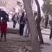 محافظة القاهرة توضح حقيقة قطع شجرة بشارع مصطفى حافظ بعين شمس - تواصل نيوز
