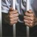5 مشاهد في جريمة أبوتشت، عصا خشبية تنهي حياة مسن داخل قرية الرزقة وحبس المتهم - تواصل نيوز